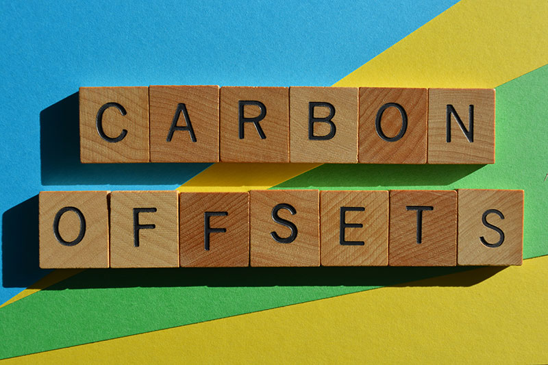 Carbon Offsetting Explained: How Individuals Can Contribute
